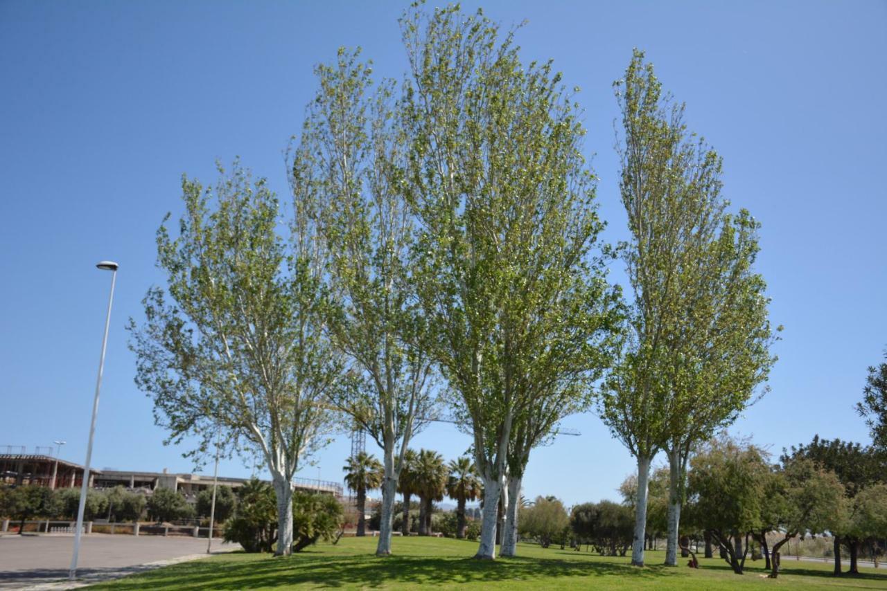 Giardini E Mare Acomodação com café da manhã Quartu SantʼElena Exterior foto